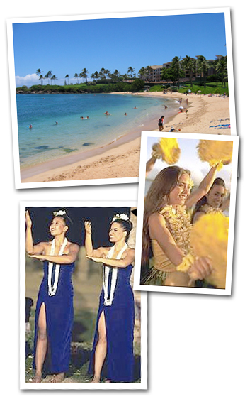 Maui Tours and Activities Travel Packages